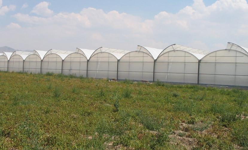 Συγχαίρουμε θερμά την Εταιρεία μας για τη νίκη ενός νέου έργου