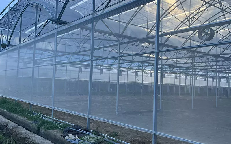 Το Greenhouse Insect Net οδηγεί μια νέα τάση στον έλεγχο των παρασίτων