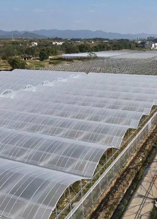 Θερμοκήπιο αγγουριών και ντομάτας