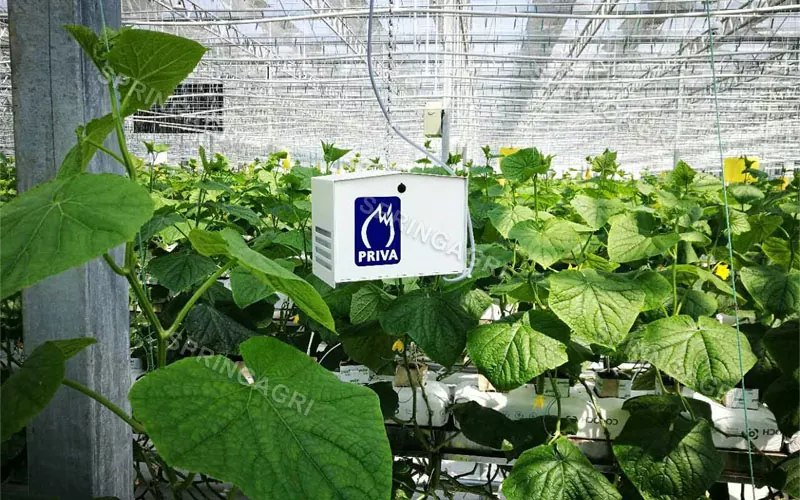 Smart Agriculture Προσαρμοσμένη Λύση Θερμοκηπίου